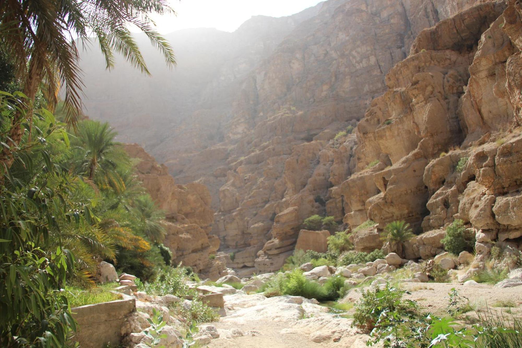 Wadi Shab Guest House Tiwi Buitenkant foto