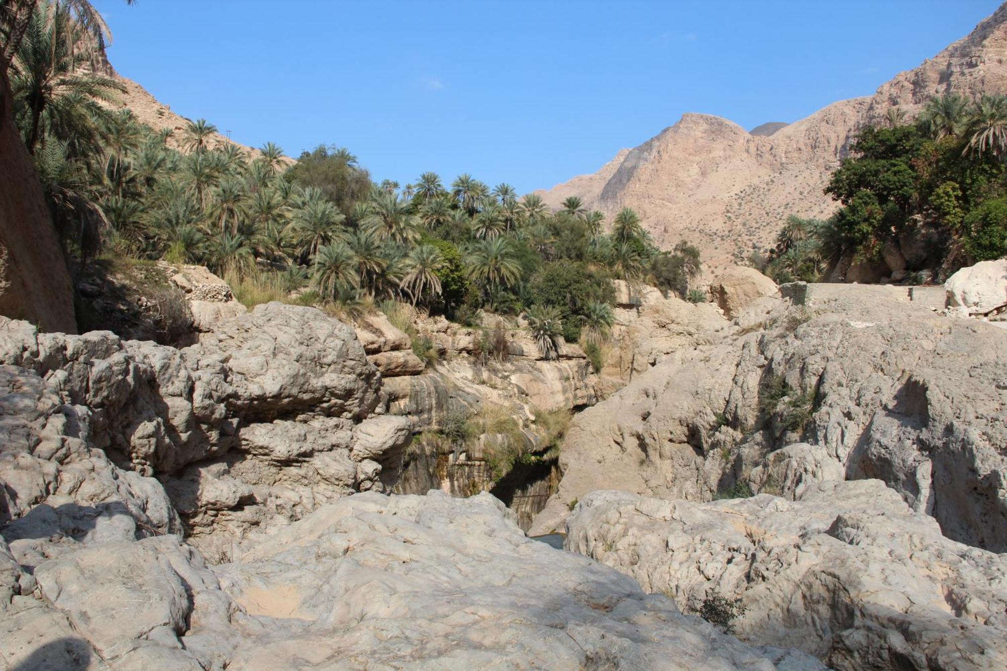 Wadi Shab Guest House Tiwi Buitenkant foto